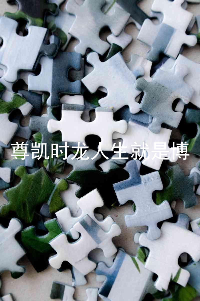 尊凯时龙人生就是博