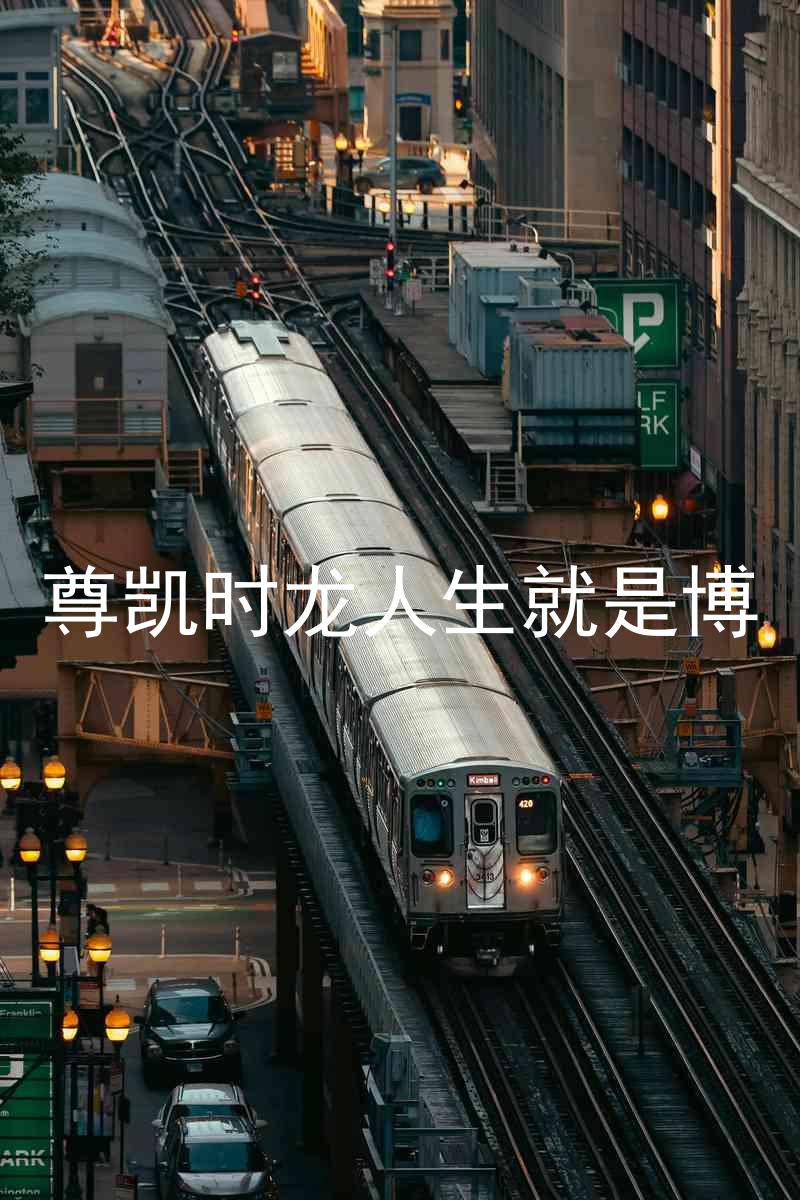 尊凯时龙人生就是博
