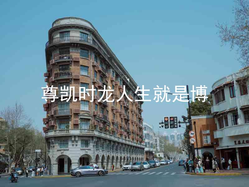 尊凯时龙人生就是博